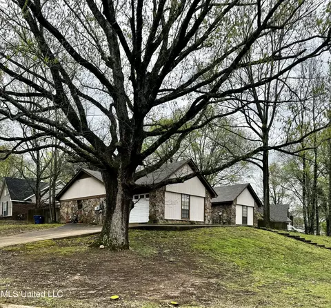 6830 E Lake Forest Dr, Walls, MS 38680 photo 3