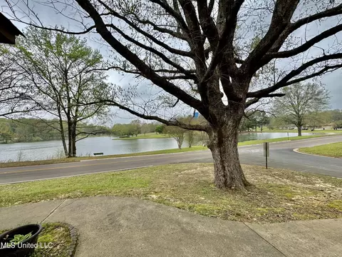 6830 E Lake Forest Dr, Walls, MS 38680 photo 18
