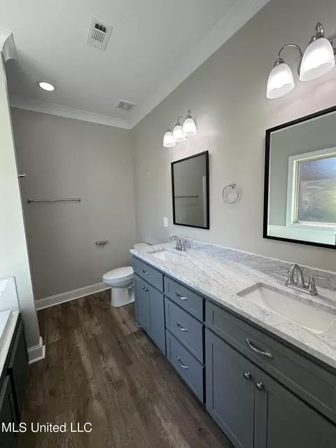 Bath - 2081 Springfield Dr, Belden, MS 38826 photo 3 of 4