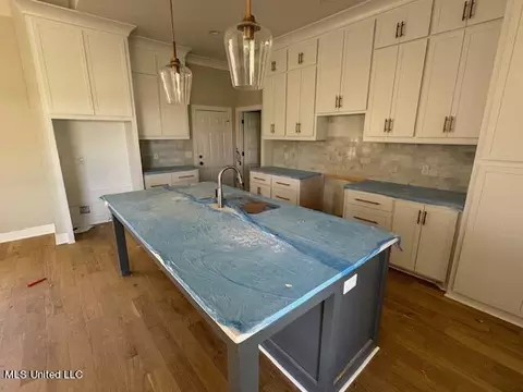 Kitchen - 320 Willow Way, Canton, MS 39046 photo 3 of 4