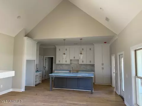 Kitchen - 320 Willow Way, Canton, MS 39046 photo 4 of 4
