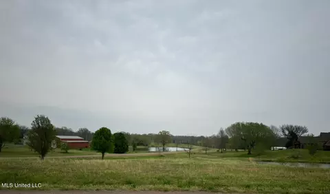 1 Poagville Rd, Coldwater, MS 38618