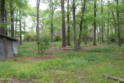269 Baker Ln, Brandon, MS 39047 photo 21