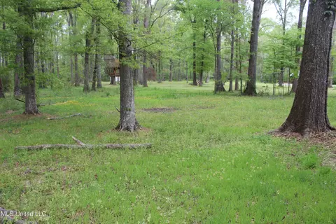 269 Baker Ln, Brandon, MS 39047 photo 20