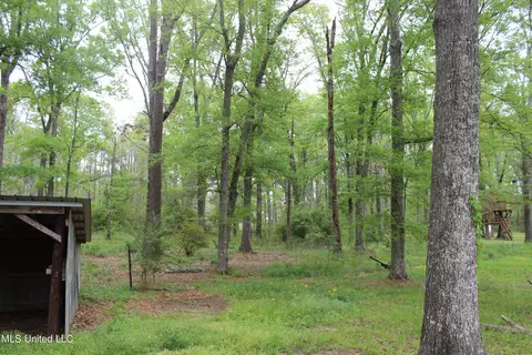269 Baker Ln, Brandon, MS 39047 photo 10