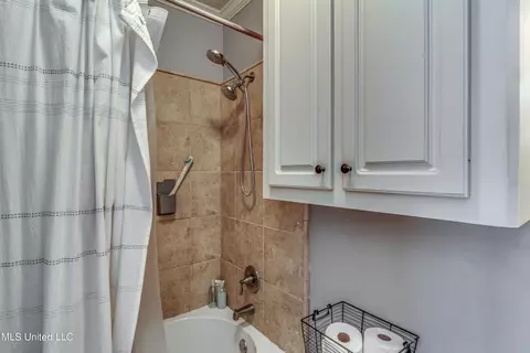 Bath - 439 Pecan Cir, Brandon, MS 39042 photo 2 of 3