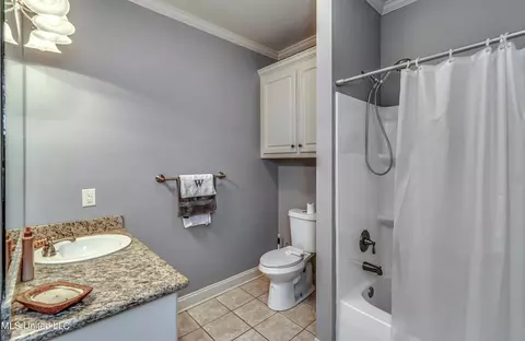Bath - 439 Pecan Cir, Brandon, MS 39042 photo 3 of 3