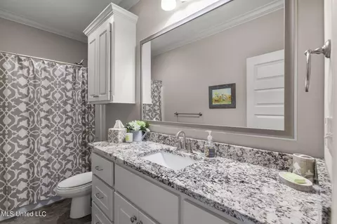 Bath - 267 Buckhead Dr, Madison, MS 39110 photo 4 of 4