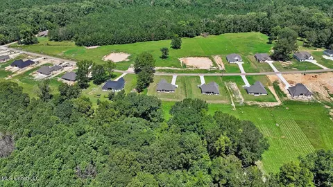 View/Area - 995 Mullican Rd, Florence, MS 39073 photo 14 of 25