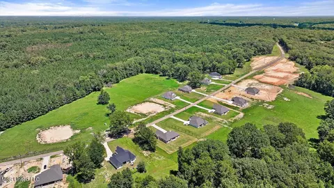 View/Area - 995 Mullican Rd, Florence, MS 39073 photo 16 of 25