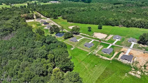 View/Area - 995 Mullican Rd, Florence, MS 39073 photo 11 of 25