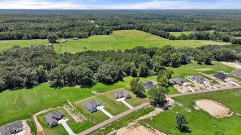 View/Area - 995 Mullican Rd, Florence, MS 39073 photo 9 of 25