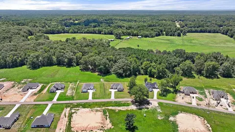 View/Area - 995 Mullican Rd, Florence, MS 39073 photo 4 of 25