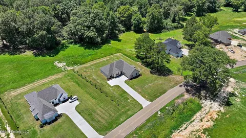 View/Area - 995 Mullican Rd, Florence, MS 39073 photo 23 of 25