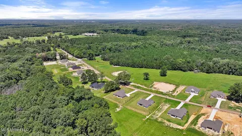 View/Area - 995 Mullican Rd, Florence, MS 39073 photo 10 of 25