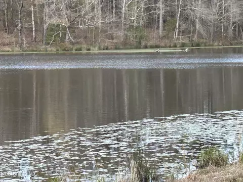 6786 Castalian Springs Rd, Durant, MS 39063 photo 1