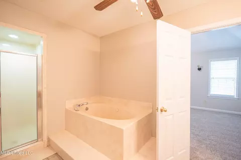 Bath - 7080 Olive Ridge Dr, Olive Branch, MS 38654 photo 2 of 4