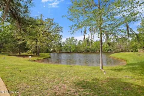 View/Area - 30 Moss Forest Cir, Jackson, MS 39211 photo 1 of 2