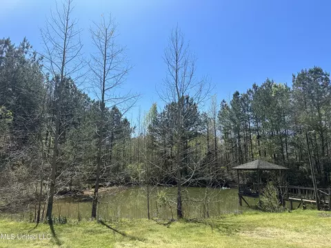 297 Alex Daley Rd, Carson, MS 39427 photo 4