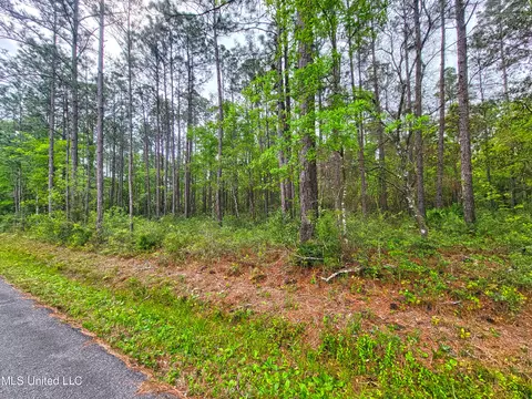 0 Prairie Brook Rd, Moss Point, MS 39562 photo 2