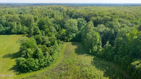 0 Stull Rd, Brandon, MS 39047 photo 6