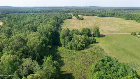 0 Stull Rd, Brandon, MS 39047 photo 7
