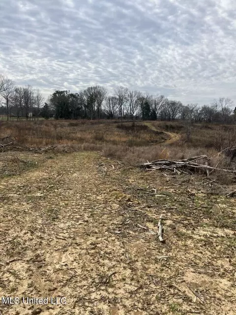 lot1 Cypress Corner Rd, Senatobia, MS 38668