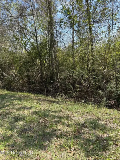 White Star Road, Biloxi, MS 39532