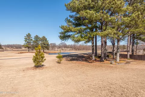 View/Area - 5254 E Nail Rd #E, Olive Branch, MS 38654 photo 1 of 2