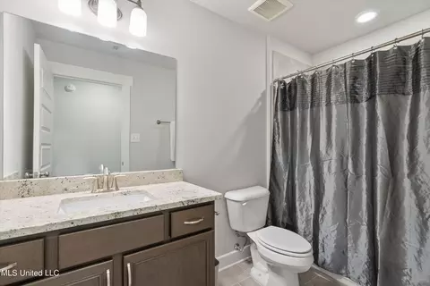 Bath - 7207 E Hawks Crossing Dr, Olive Branch, MS 38654 photo 7 of 7