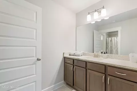 Bath - 7207 E Hawks Crossing Dr, Olive Branch, MS 38654 photo 6 of 7