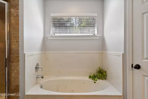 Bath - 741 Buttermilk Dr, Nesbit, MS 38651 photo 2 of 5