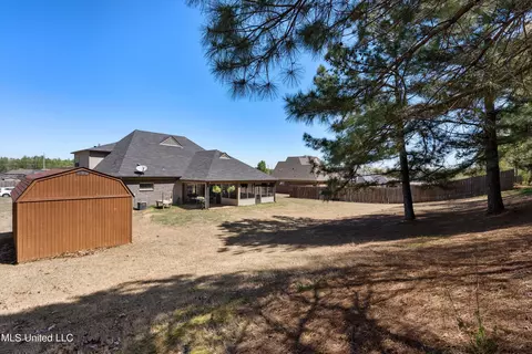 Exterior - 741 Buttermilk Dr, Nesbit, MS 38651 photo 13 of 14