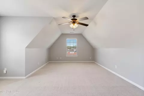 Other - 741 Buttermilk Dr, Nesbit, MS 38651 photo 9 of 12