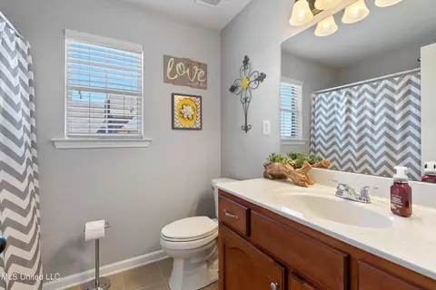 Bath - 741 Buttermilk Dr, Nesbit, MS 38651 photo 4 of 5