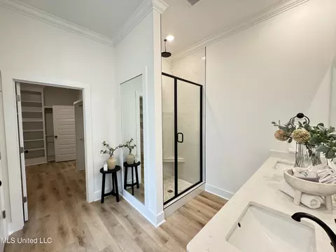 Bath - 167 Cornerstone Dr, Brandon, MS 39042 photo 3 of 5