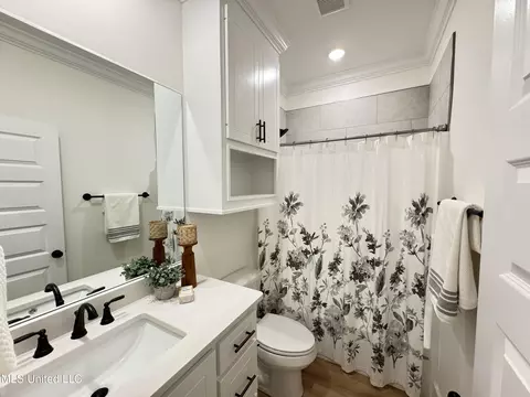 Bath - 167 Cornerstone Dr, Brandon, MS 39042 photo 5 of 5