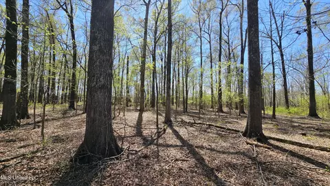 Majors Lane, Yazoo City, MS 39194