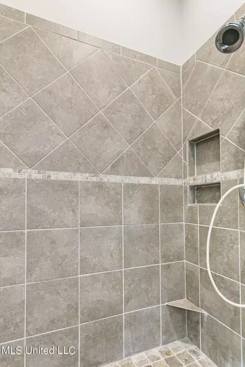 Bath - 245 Grayhawk Dr, Madison, MS 39110 photo 3 of 6