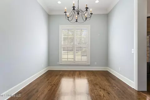 Other - 245 Grayhawk Dr, Madison, MS 39110 photo 4 of 13