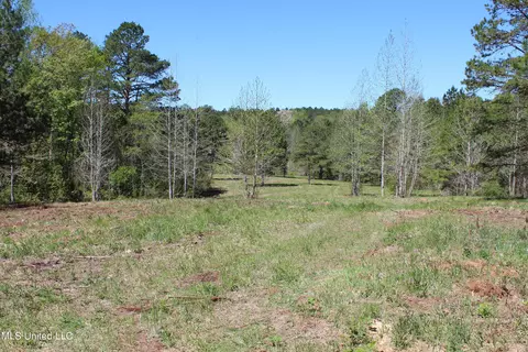 Melvin Leach Road, Union, MS 39365 photo 30