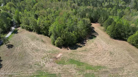 Melvin Leach Road, Union, MS 39365 photo 4