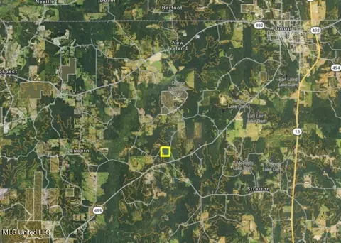 Melvin Leach Road, Union, MS 39365 photo 41