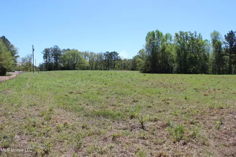 Melvin Leach Road, Union, MS 39365 photo 11