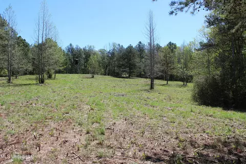Melvin Leach Road, Union, MS 39365 photo 28