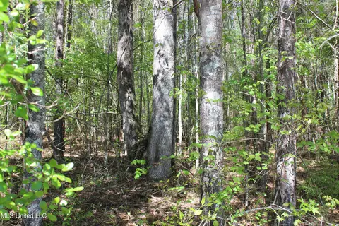 Melvin Leach Road, Union, MS 39365 photo 20