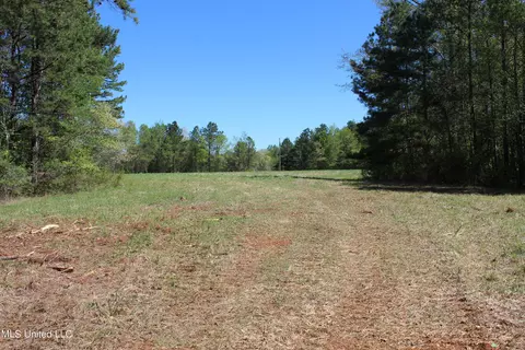 Melvin Leach Road, Union, MS 39365 photo 15