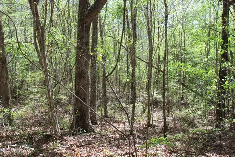 Melvin Leach Road, Union, MS 39365 photo 32