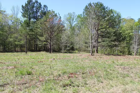 Melvin Leach Road, Union, MS 39365 photo 31