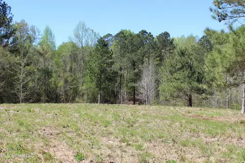 Melvin Leach Road, Union, MS 39365 photo 25